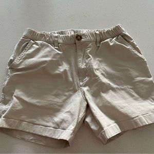 Chubbies 5.5 Inseam Shorts